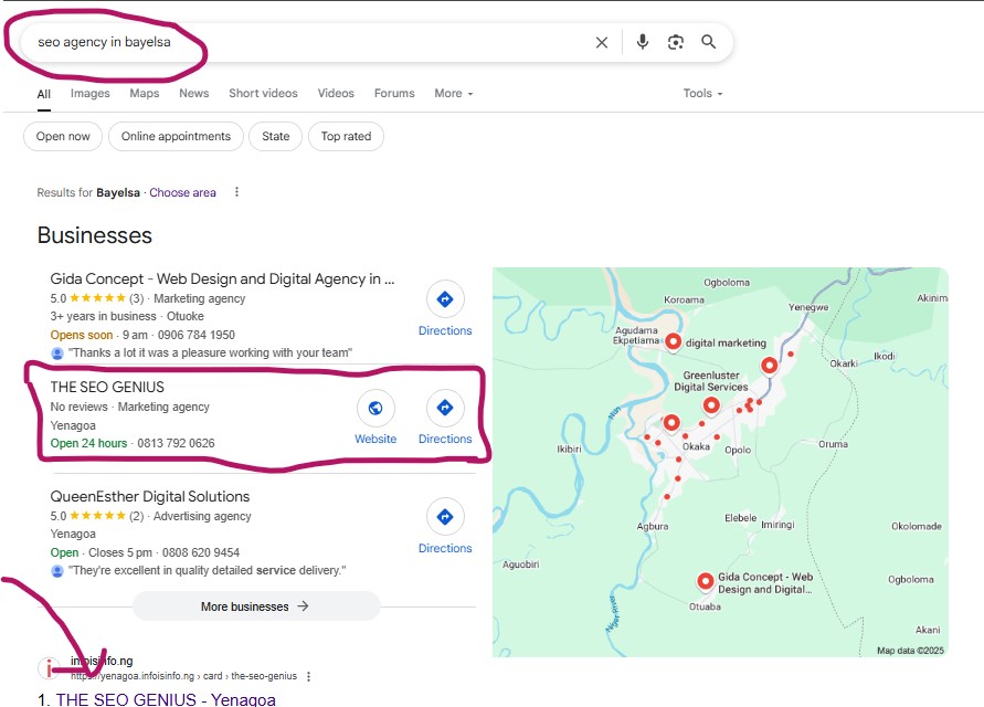 THE SEO GENIUS Local Map Results