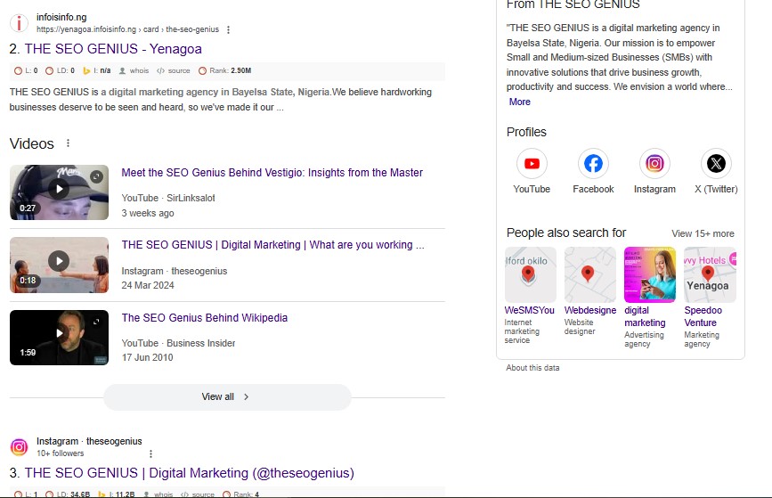 THE SEO GENIUS Knowledge Panel